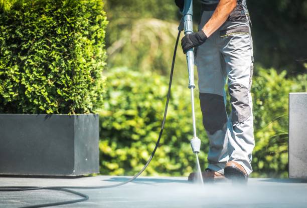 Best Dumpster Area Cleaning  in Town And Country, MO