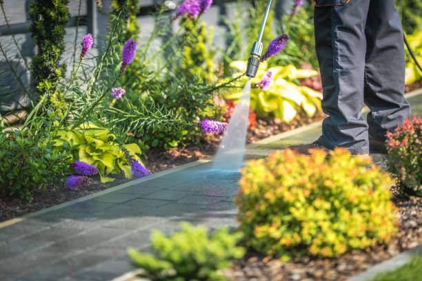 Best Winterizing Services  in Town And Country, MO